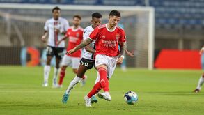 Enzo Fernández à lupa: o que fez o argentino na estreia com a camisola do Benfica