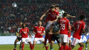 Motorista de Rui Costa suspenso por 17 dias e obrigado a pagar multa