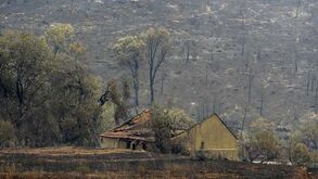 Incêndios: Situação de alerta termina às 23:59 de hoje