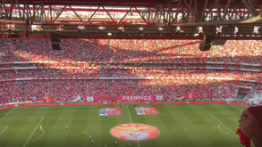 Adeptos do Benfica cantaram o hino à capela minutos antes do jogo com o Newcastle