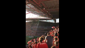 Assim se festejou o golo de Gonçalo Ramos nas bancadas da Luz