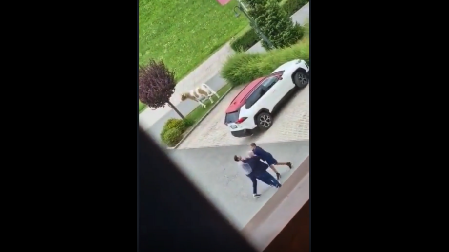 Vídeo amador apanhou Ivan Juric e Davide Vagnati aos empurrões, tendo sido separados por um outro elemento da equipa