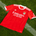 Equipamento principal do Benfica
