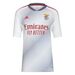 Terceiro equipamento do Benfica
