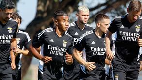 Benfica afina estratégia para o arranque oficial da temporada