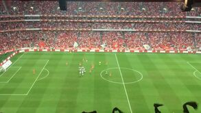 Luz festejou assim o primeiro golo de Enzo Fernández pelo Benfica