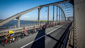 Organização esclarece que 