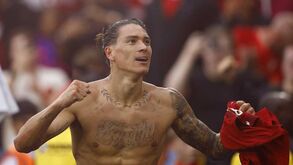 Darwin e a adaptação ao Liverpool: «Conseguimos falar em linguagem gestual...»
