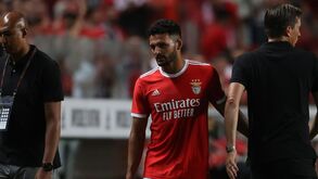 Gonçalo Ramos tem os dias contados no Benfica: «Faz-me lembrar muito o Rui Águas»