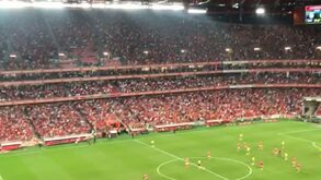 Assim festejou a Luz o golo de Rafa no Benfica-Arouca