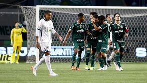 Palmeiras de Abel Ferreira bate Goiás e lidera destacado o Brasileirão