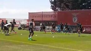 Em português ou inglês e sempre... muito ativo: preparador físico do Benfica lima arestas antes do Midtjylland