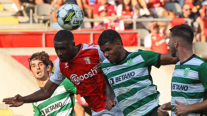 RTP e Sport TV estão 