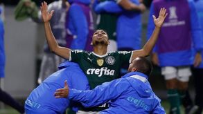 Palmeiras e Libertadores: Uma história repleta de… recordes