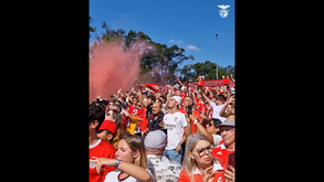 Loucura na chegada do autocarro do Benfica a Leiria