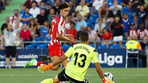 Será este o ano de João Félix? «A ver se tenho sorte... Às vezes o futebol é injusto»