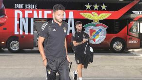 O treino de ambientação do Benfica à casa emprestada do Dínamo Kiev