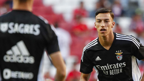 Trio de reforços ainda aguarda pela estreia no Benfica