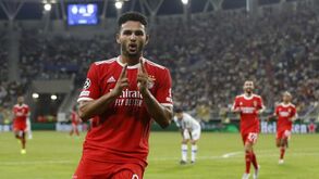 Schmidt sobre Gonçalo Ramos: «Espero que fique, é titular e está em boa forma»