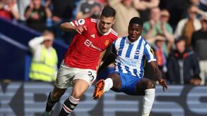 Treinador do Brighton avisa Liverpool sobre Caicedo: «42 milhões? Talvez levem as chuteiras»