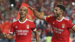 O resumo do Benfica-P. Ferreira: golos, casos e outros lances