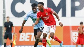 Umaro Embaló ruma ao Fortuna Sittard e rende 1 M€ ao Benfica