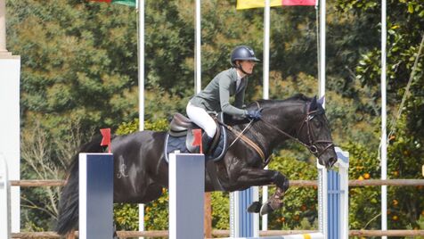 Foto profissional gratuita de andar a cavalo, automobilismo