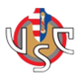 Logo US Cremonese