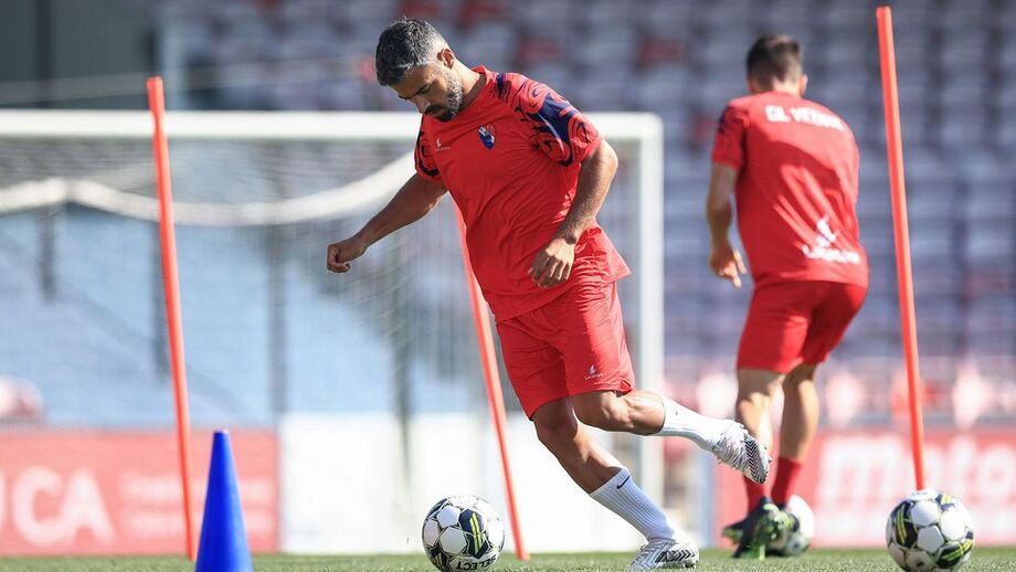 Carraça pode ser opção