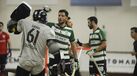 Elite Cup: Sporting-Oliveirense ao vivo