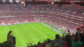 Luz foi à loucura com o golo de João Mário: veja as imagens