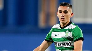 Alexandropoulos: um lutador como McGregor