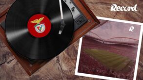 Benfica inicia ataque à Champions: este é o onze provável para o jogo com o Maccabi Haifa