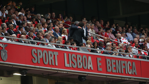 Diogo Ribeiro ao lado de Rui Costa na tribuna da Luz