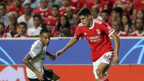 Paulo Madeira aplaude estreia de António Silva na Champions: «Tem tudo para ser um central de topo»