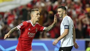Rui Costa deixa renovação de Grimaldo em aberto: «O problema era se ele não tivesse rendimento»