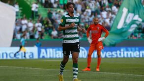 As notas dos jogadores do Sporting diante o Portimonense: bastou uma trinca para abrir o ketchup