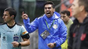 Abel chegou ao 150.º jogo no banco do Palmeiras: título do Brasileirão cada vez mais perto