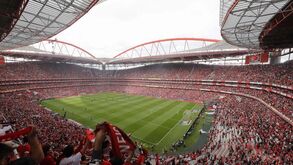 Benfica pede arquivamento do processo 'Saco Azul'