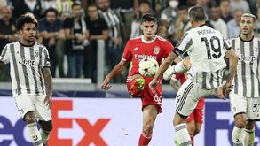 Braz Frade: «António Silva tem uma maturidade fora do comum»