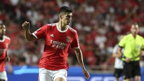 António Silva baralhou contas à direção do Benfica no mercado de transferências