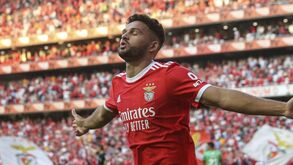 O resumo do Benfica-Marítimo: golos, casos e outros lances