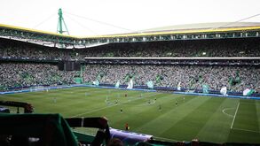 Sporting divulga preços e condições de venda de bilhetes para próximos jogos da Champions