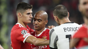 António Silva: «Bonucci? No futebol não se liga a nomes, o mais importante é defender o Benfica»