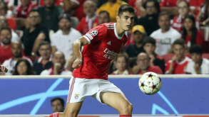 António Silva: «Sendo eu benfiquista ferrenho, poder ajudar o meu clube nestas conquistas...»