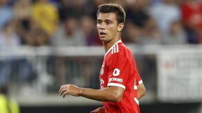 Benfica recorre do castigo a Henrique Araújo e pede que FPF acabe com o Conselho de Disciplina