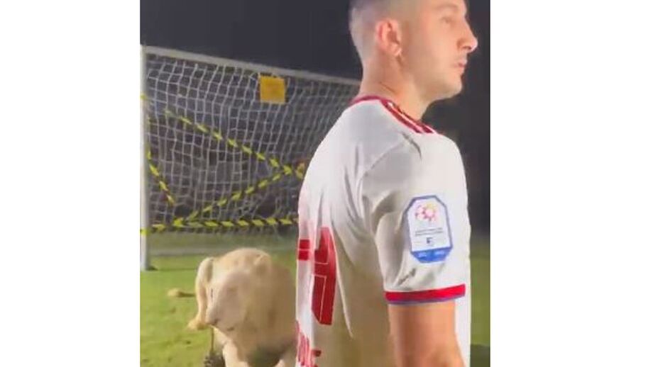 Manolas foi apresentado no Al Sharjah com um leão... e não ganhou para o susto