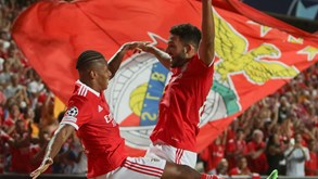 Agenda desportiva: Benfica e FC Porto com cenários favoráveis