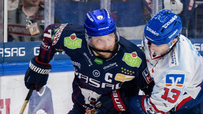 Eisbären Berlin-Mountfield HK: anfitriões com claro favoritismo