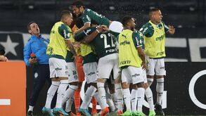 Palmeiras bate Botafogo em duelo de treinadores portugueses